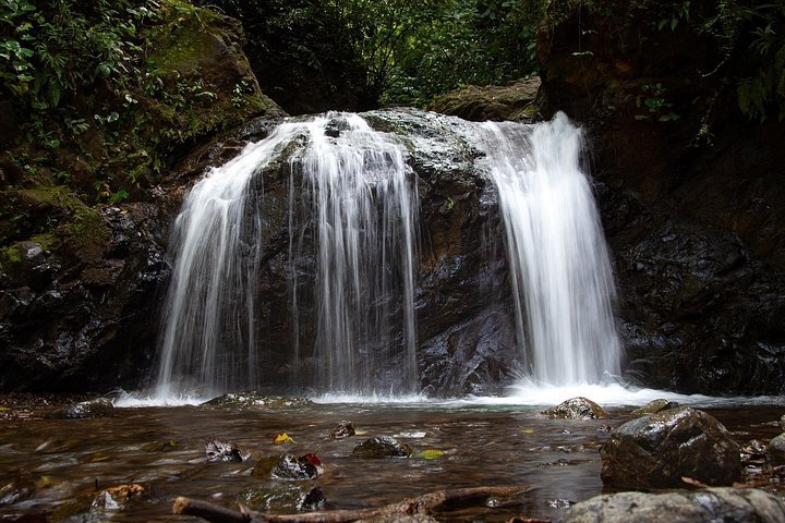 Rainforest waterfall hike Jaco Costa Rica
